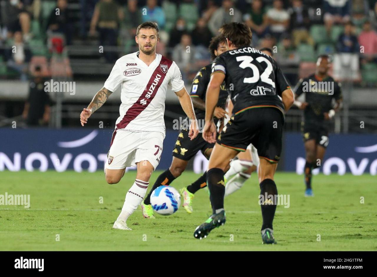 Venezia vs Torino: Preview Pertandingan Serie B