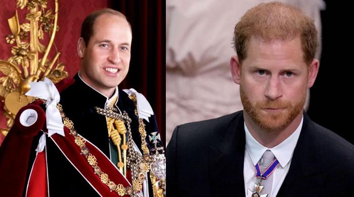 Perbandingan Kekayaan Pangeran Harry dan William, Siapa yang